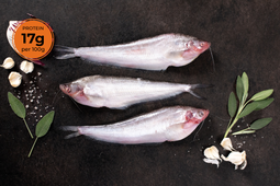 Buy Pabda Fish Online - Cambay Tiger