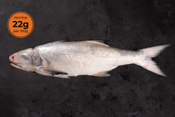 Buy Fresh Indian Salmon/ Rawas Online - Cambay Tiger