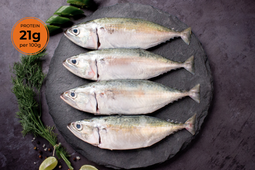 Buy Bangda Fish Online - Cambay Tiger
