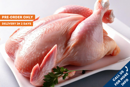 Fresh Turkey