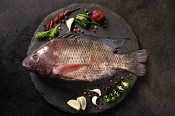 Buy Tilapia Fish Online - Cambay Tiger