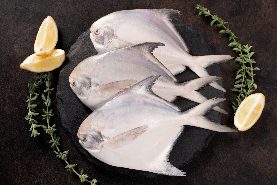 Buy Fresho Processed Whole Pomfret Large 250 Gm Online at the Best